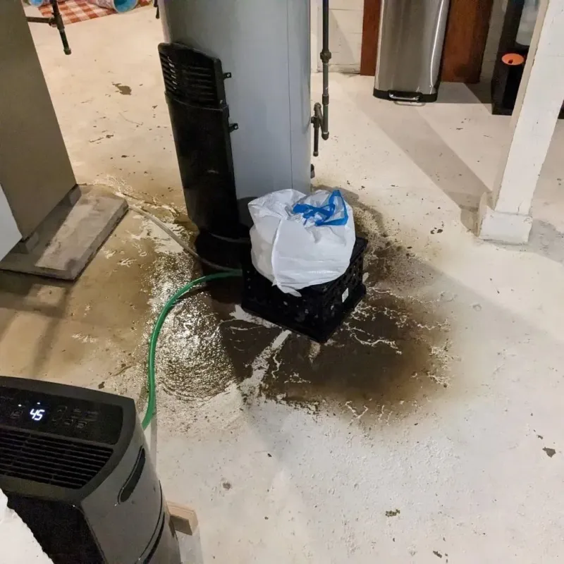 Sewage Backup Cleanup Service in Ashland, NJ
